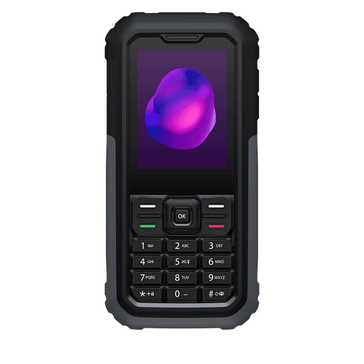 TCL 3189D DS 4G - Grey