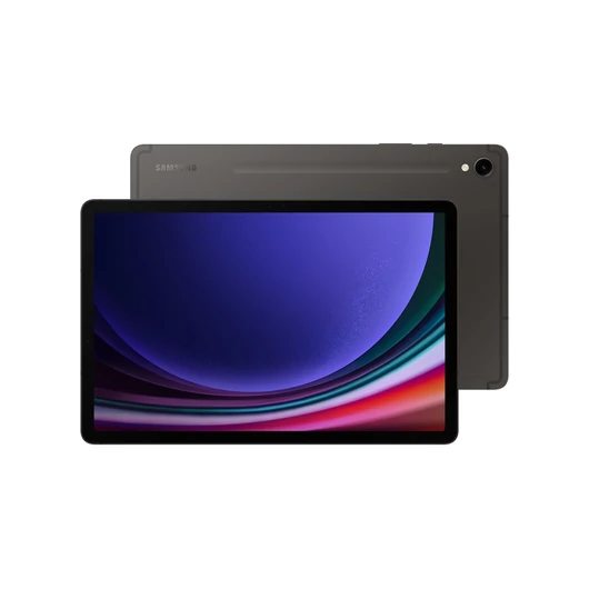Samsung x710 galaxy tab s9 wifi (12/256gb), gray