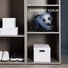 Kép 8/11 - Rowenta RO3721EA Compact Power Cyclonic kék porzsák nélküli porszívó