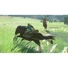 Kép 2/2 - The Legend of Zelda: Breath of the Wild Nintendo Switch játékszoftver