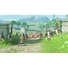 Kép 2/6 - Hyrule Warriors: Age of Calamity Nintendo Switch játékszoftver