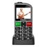 Kép 1/4 - EVOLVEO easyphone fl (ep801) silver