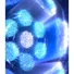 Kép 5/5 - Oral-B iO series 5 Pink elektromos fogkefe