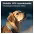 Kép 2/10 - Tractive GPS DOG XL zöld kutya GPS nyomkövető és tevékenységfigyelő