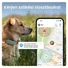 Kép 3/10 - Tractive GPS DOG 6 menta kutya GPS nyomkövető és tevékenységfigyelő