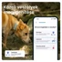 Kép 4/10 - Tractive GPS DOG 6 menta kutya GPS nyomkövető és tevékenységfigyelő