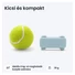 Kép 6/10 - Tractive GPS DOG 6 menta kutya GPS nyomkövető és tevékenységfigyelő