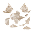 Kép 5/5 - Clementoni Archeofun - Világító Piranha
