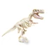 Kép 2/4 - Clementoni Archeofun - Világító T-Rex